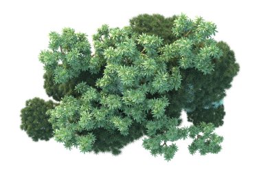 Orman beyaz arka planda izole edilmiş. 3d görüntüleme - illüstrasyon