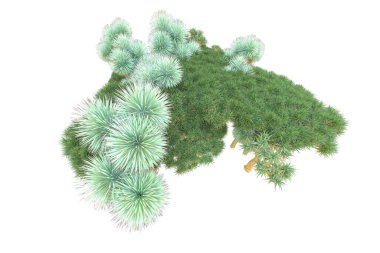 Orman beyaz arka planda izole edilmiş. 3d görüntüleme - illüstrasyon