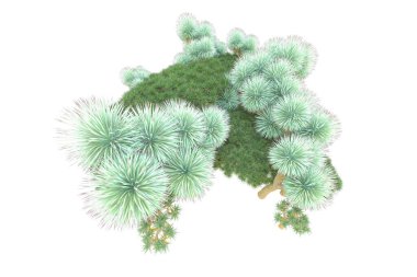 Orman beyaz arka planda izole edilmiş. 3d görüntüleme - illüstrasyon