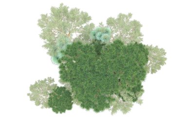 Orman beyaz arka planda izole edilmiş. 3d görüntüleme - illüstrasyon