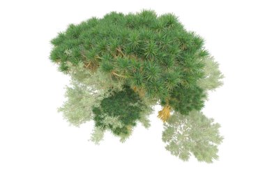 Orman beyaz arka planda izole edilmiş. 3d görüntüleme - illüstrasyon