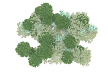 Orman beyaz arka planda izole edilmiş. 3d görüntüleme - illüstrasyon