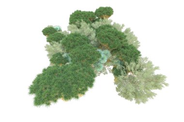 Orman beyaz arka planda izole edilmiş. 3d görüntüleme - illüstrasyon