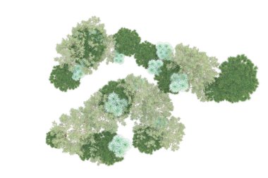 Orman beyaz arka planda izole edilmiş. 3d görüntüleme - illüstrasyon