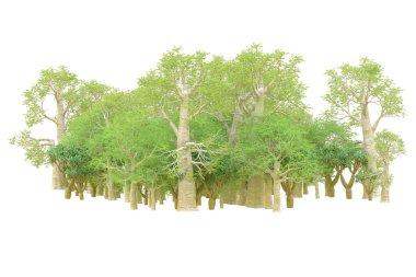 Orman ıssız. Afişler, posterler ya da fotoğraf manipülasyonları için kullanışlı bir görüntü. 3d oluşturma.