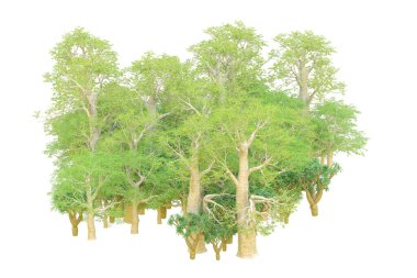 Orman ıssız. Afişler, posterler ya da fotoğraf manipülasyonları için kullanışlı bir görüntü. 3d oluşturma.