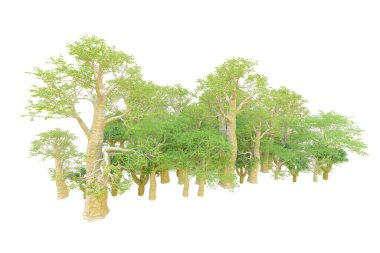 Orman ıssız. Afişler, posterler ya da fotoğraf manipülasyonları için kullanışlı bir görüntü. 3d oluşturma.