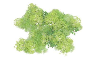 Orman ıssız. Afişler, posterler ya da fotoğraf manipülasyonları için kullanışlı bir görüntü. 3d oluşturma.