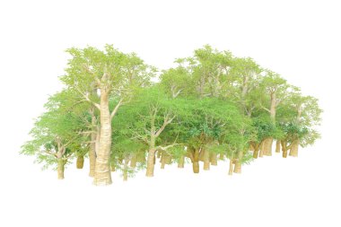 Orman ıssız. Afişler, posterler ya da fotoğraf manipülasyonları için kullanışlı bir görüntü. 3d oluşturma.