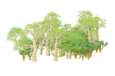 Orman ıssız. Afişler, posterler ya da fotoğraf manipülasyonları için kullanışlı bir görüntü. 3d oluşturma.