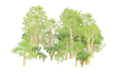 Orman ıssız. Afişler, posterler ya da fotoğraf manipülasyonları için kullanışlı bir görüntü. 3d oluşturma.