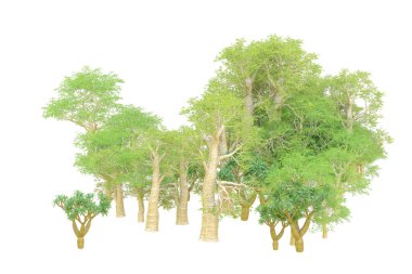 Orman ıssız. Afişler, posterler ya da fotoğraf manipülasyonları için kullanışlı bir görüntü. 3d oluşturma.