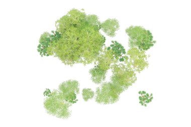 Orman ıssız. Afişler, posterler ya da fotoğraf manipülasyonları için kullanışlı bir görüntü. 3d oluşturma.