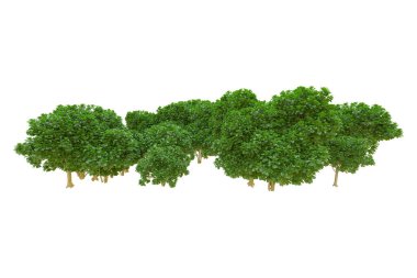 Orman ıssız. Afişler, posterler ya da fotoğraf manipülasyonları için kullanışlı bir görüntü. 3d oluşturma.