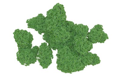 Orman ıssız. Afişler, posterler ya da fotoğraf manipülasyonları için kullanışlı bir görüntü. 3d oluşturma.