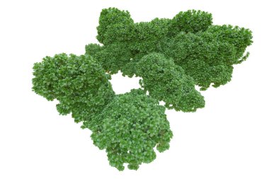 Orman ıssız. Afişler, posterler ya da fotoğraf manipülasyonları için kullanışlı bir görüntü. 3d oluşturma.