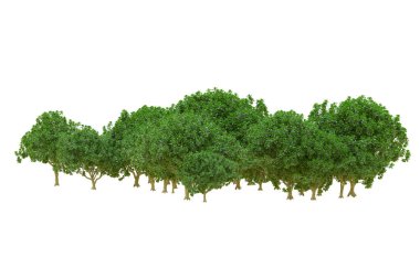 Orman ıssız. Afişler, posterler ya da fotoğraf manipülasyonları için kullanışlı bir görüntü. 3d oluşturma.