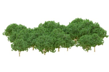 Orman ıssız. Afişler, posterler ya da fotoğraf manipülasyonları için kullanışlı bir görüntü. 3d oluşturma.