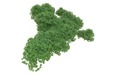 Orman ıssız. Afişler, posterler ya da fotoğraf manipülasyonları için kullanışlı bir görüntü. 3d oluşturma.