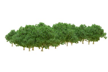 Orman ıssız. Afişler, posterler ya da fotoğraf manipülasyonları için kullanışlı bir görüntü. 3d oluşturma.