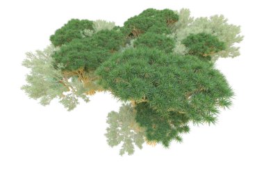 Orman ıssız. Afişler, posterler ya da fotoğraf manipülasyonları için kullanışlı bir görüntü. 3d oluşturma.