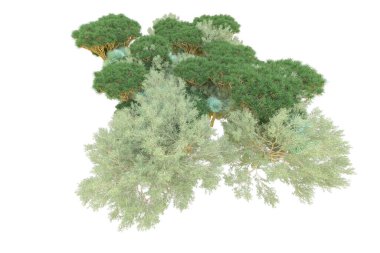 Orman ıssız. Afişler, posterler ya da fotoğraf manipülasyonları için kullanışlı bir görüntü. 3d oluşturma.