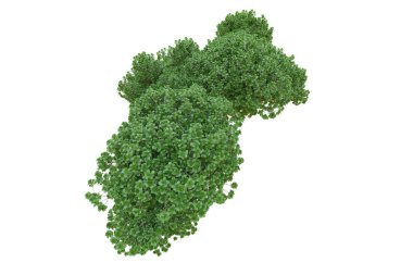 Orman ıssız. Afişler, posterler ya da fotoğraf manipülasyonları için kullanışlı bir görüntü. 3d oluşturma.