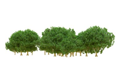 Orman ıssız. Afişler, posterler ya da fotoğraf manipülasyonları için kullanışlı bir görüntü. 3d oluşturma.