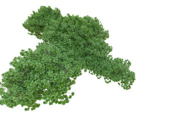 Orman ıssız. Afişler, posterler ya da fotoğraf manipülasyonları için kullanışlı bir görüntü. 3d oluşturma.