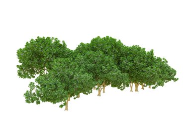 Orman ıssız. Afişler, posterler ya da fotoğraf manipülasyonları için kullanışlı bir görüntü. 3d oluşturma.