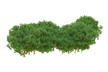 Orman ıssız. Afişler, posterler ya da fotoğraf manipülasyonları için kullanışlı bir görüntü. 3d oluşturma.