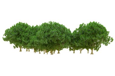 Orman ıssız. Afişler, posterler ya da fotoğraf manipülasyonları için kullanışlı bir görüntü. 3d oluşturma.