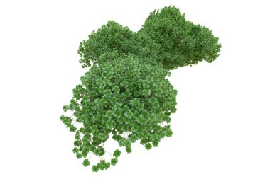 Orman ıssız. Afişler, posterler ya da fotoğraf manipülasyonları için kullanışlı bir görüntü. 3d oluşturma.