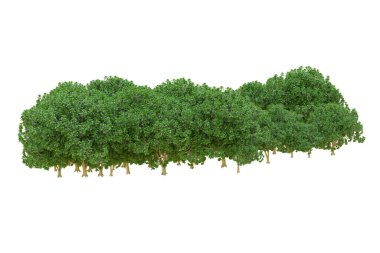 Orman ıssız. Afişler, posterler ya da fotoğraf manipülasyonları için kullanışlı bir görüntü. 3d oluşturma.