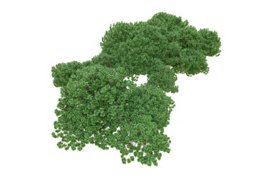 Orman ıssız. Afişler, posterler ya da fotoğraf manipülasyonları için kullanışlı bir görüntü. 3d oluşturma.