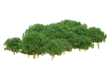 Orman ıssız. Afişler, posterler ya da fotoğraf manipülasyonları için kullanışlı bir görüntü. 3d oluşturma.