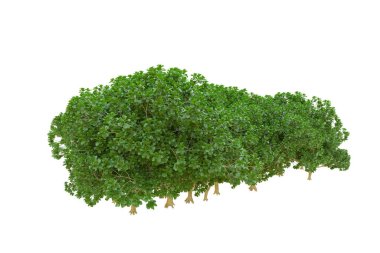 Orman ıssız. Afişler, posterler ya da fotoğraf manipülasyonları için kullanışlı bir görüntü. 3d oluşturma.