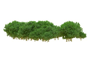 Orman ıssız. Afişler, posterler ya da fotoğraf manipülasyonları için kullanışlı bir görüntü. 3d oluşturma.