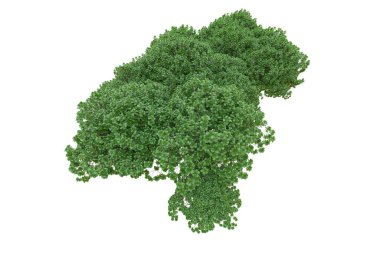 Orman ıssız. Afişler, posterler ya da fotoğraf manipülasyonları için kullanışlı bir görüntü. 3d oluşturma.