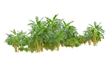 Orman ıssız. Afişler, posterler ya da fotoğraf manipülasyonları için kullanışlı bir görüntü. 3d oluşturma.