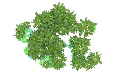 Beyaz arka planda palmiye ağaçları olan tropikal orman manzarası