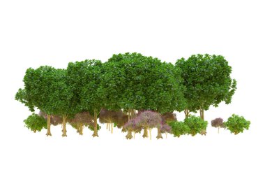 Orman ıssız. Afişler, posterler ya da fotoğraf manipülasyonları için kullanışlı bir görüntü. 3d oluşturma.