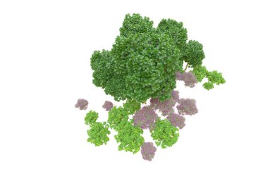 Orman ıssız. Afişler, posterler ya da fotoğraf manipülasyonları için kullanışlı bir görüntü. 3d oluşturma.