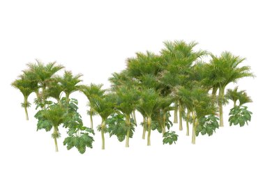 Beyaz arka planda palmiye ağaçları olan tropikal orman manzarası