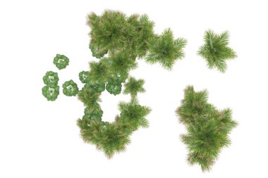 Beyaz arka planda palmiye ağaçları olan tropikal orman manzarası