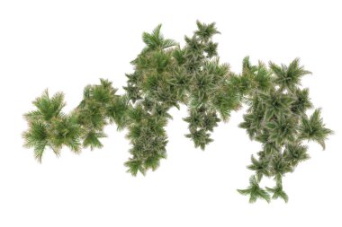 Beyaz arka planda palmiye ağaçları olan tropikal orman manzarası