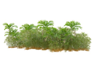 Beyaz arka planda palmiye ağaçları olan tropikal orman manzarası