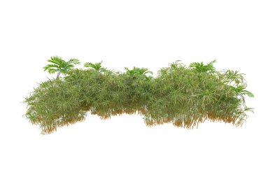 Beyaz arka planda palmiye ağaçları olan tropikal orman manzarası