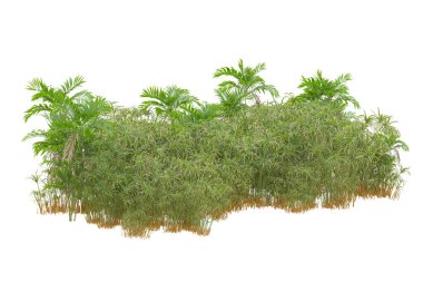 Beyaz arka planda palmiye ağaçları olan tropikal orman manzarası