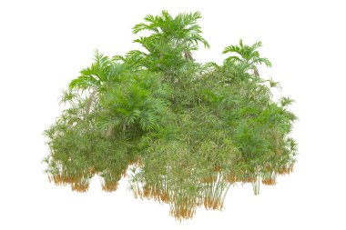 Beyaz arka planda palmiye ağaçları olan tropikal orman manzarası